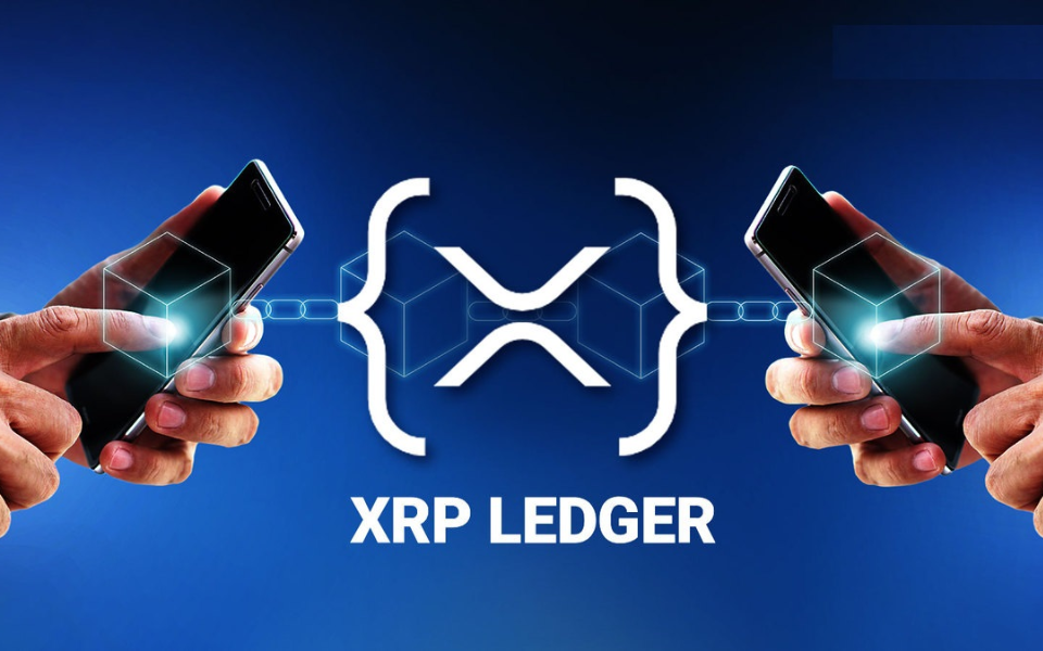 LedgersSafe platform interface